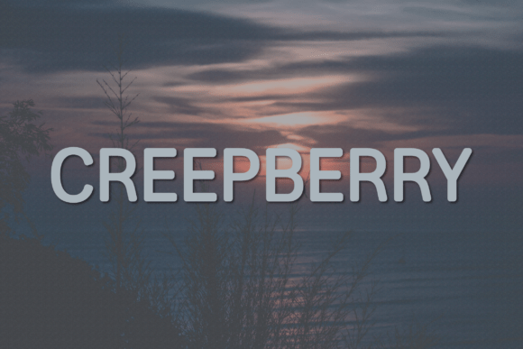 Creepberry: The Modern Sans Serif Font for Cohesive Branding