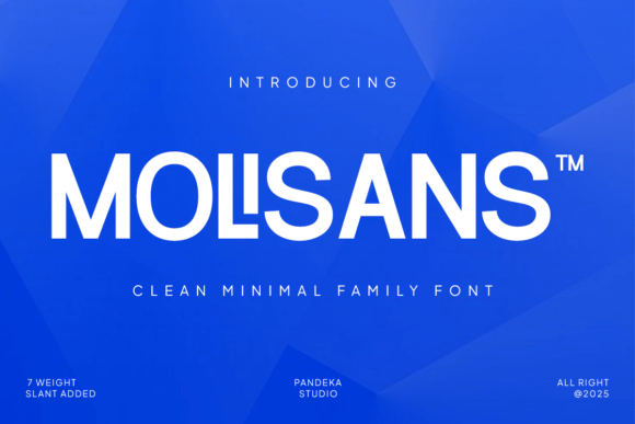 Molisans Typeface: The Modern Sans Serif for Clean Craft Branding